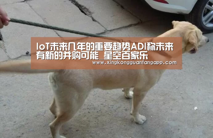 IoT未来几年的重要趋势ADI称未来有新的并购可能_星空百家乐(图2) 星空赛事