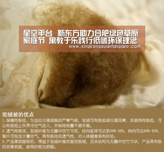 星空平台-新东方助力合肥绿色草原家庭节 寓教于乐践行低碳环保理念(图)(图2) 星空百家乐