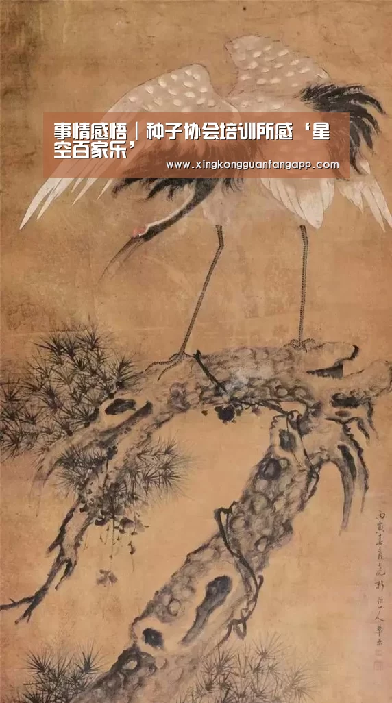 事情感悟|种子协会培训所感‘星空百家乐’(图5) 星空赛事