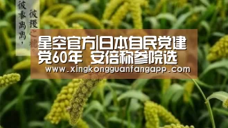 星空官方|日本自民党建党60年 安倍称参院选举该党必须获胜(图2) 星空赛事
