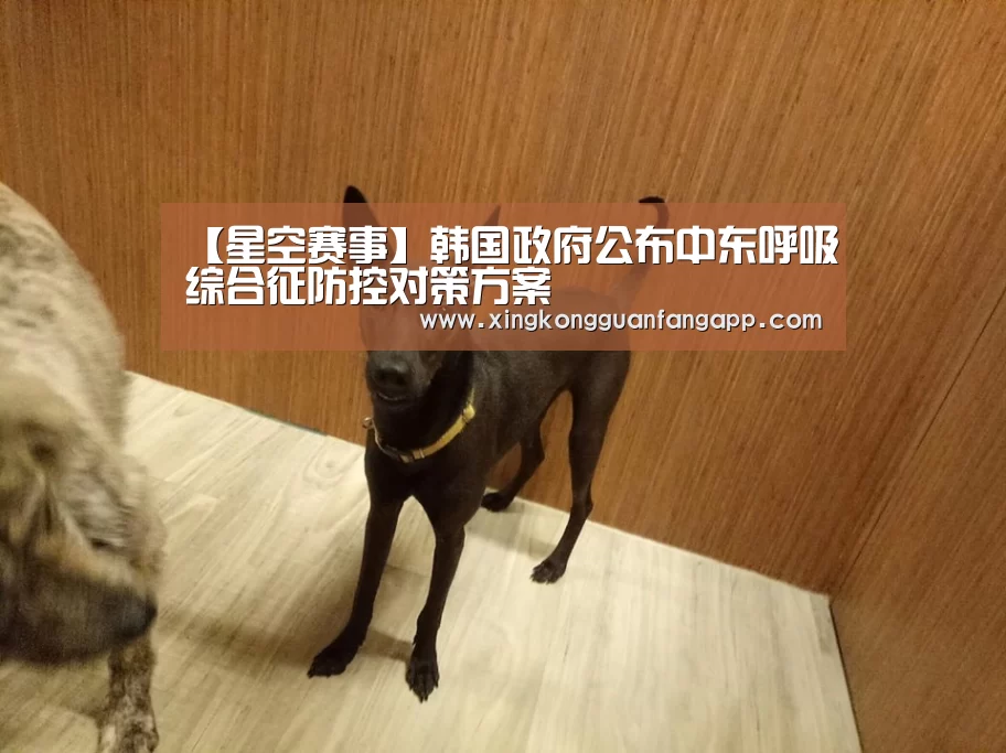 【星空赛事】韩国政府公布中东呼吸综合征防控对策方案(图2) 星空官方