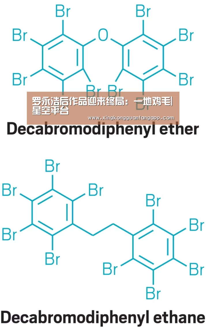 罗永浩后作品迎来终局:一地鸡毛|星空平台(图3) 星空赛事